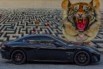 Maserati GranSport on Forgiato Wheels (Maglia-ECL) 2017 года